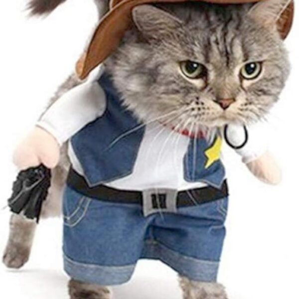 Cowboy Pet Costume With Hat Halloween Dress Up For Cats Dogs