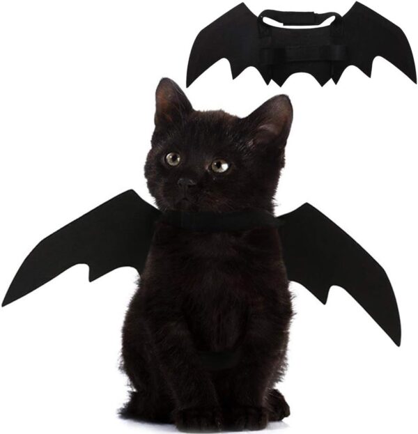 Pet Bat Wings Costume Halloween Cosplay Dress Up Accessories Pet Bat Wings Costume Halloween Cosplay Dress Up Accessories