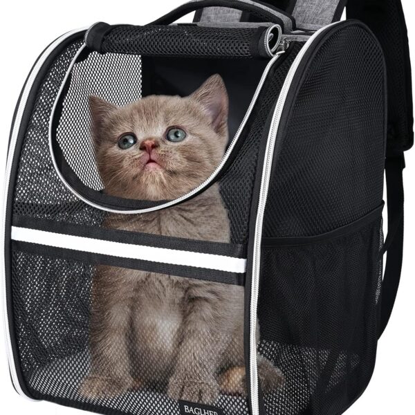 Ventilated Pet Travel Backpack With Comfort Shoulder Straps