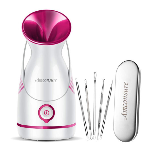 Nano Ionic Warm Mist Facial Steamer with 5Pcs Skin Tool Kit